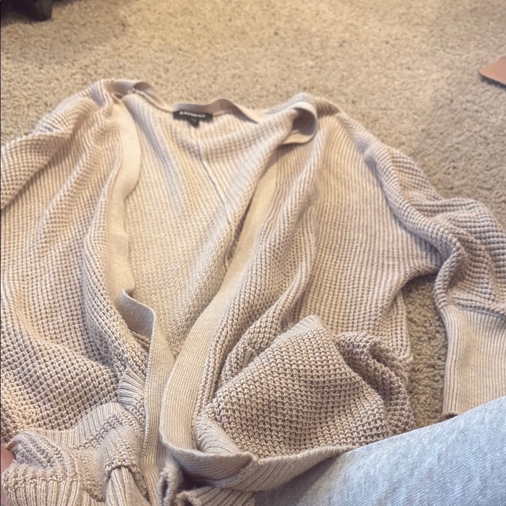EXPRESS Beige Sweater